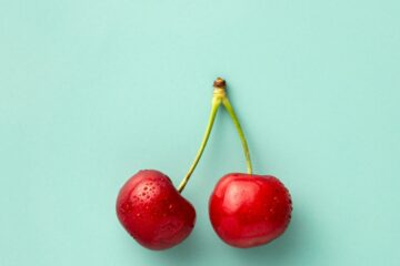 도파민 동기부여 — 의지력이 아니라 뇌의 문제인 이유